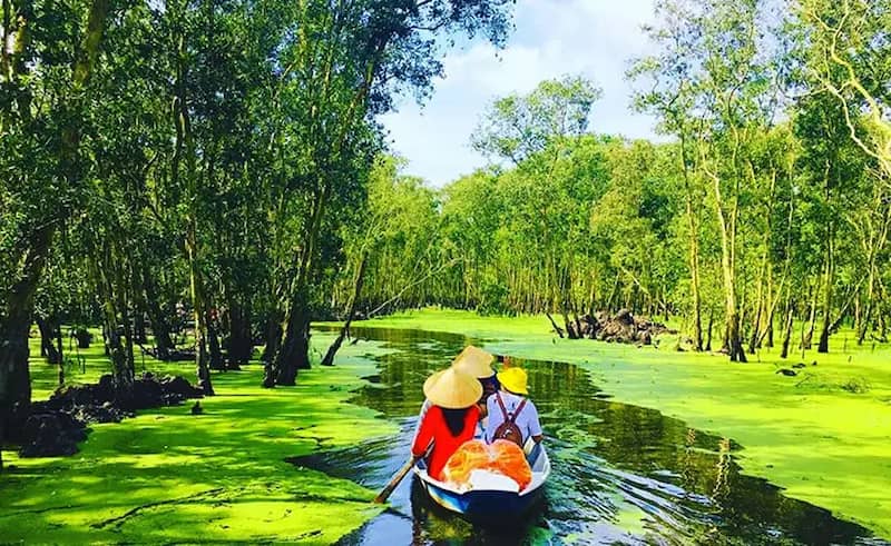 Hoạt động chèo thuyền tham quan Rừng Tràm Trà Sư