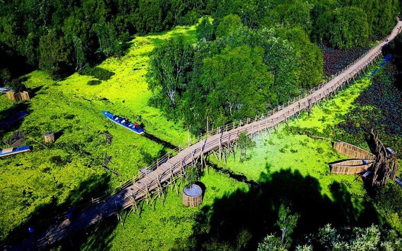 khung cảnh hùng vĩ tại rừng tràm trà sư