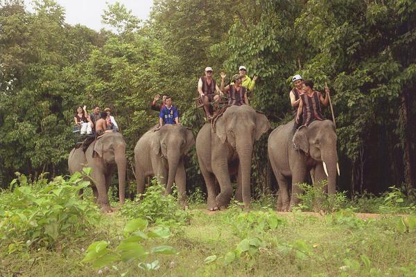 nhung-khu-rung-noi-tieng-o-Viet-Nam-4