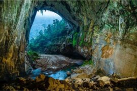 cac-hang-dong-noi-tieng-o-viet-nam-1
