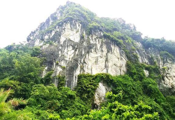 cac-hang-dong-noi-tieng-o-viet-nam-10