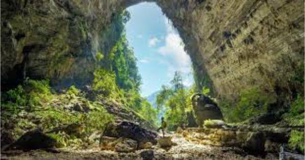 cac-hang-dong-noi-tieng-o-viet-nam-7