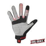 bigbike